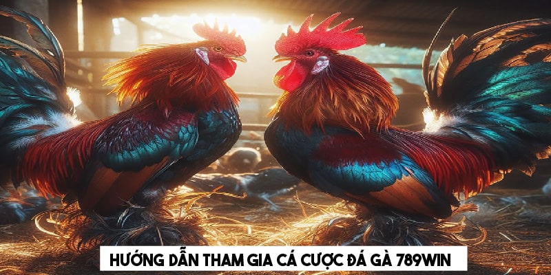 Giới thiệu các hình thức đá gà nổi bật tại 789WIN 